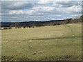 Farmland south of the A69