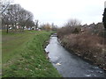 SP0095 : River Tame - Oldbury Arm - downstream at Park Hill Bridge by John M