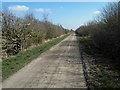 Lane near Newton Marsh