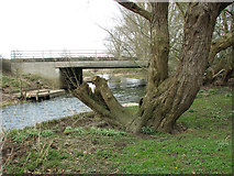 TM2885 : The River Waveney by Homersfield Bridge by Evelyn Simak