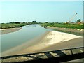 TF5801 : The River Great Ouse downstream from Denver Sluice by Rose and Trev Clough