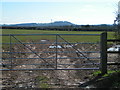 Gate and field near Court Farm, looking south