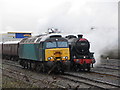 Locomotives in Pengam Sidings