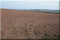 Arable field near Colston Farm