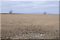 Arable field, Broadway near Gelli