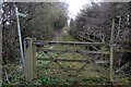 Bridleway along a disused road