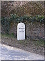 TG0603 : Milestone on the B1108 Station Road by Geographer