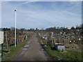 Path in Cottenham Park Allotments