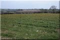 Farmland near Walton Mill