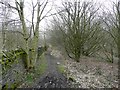 Footpath to Cliff Wood, Heaton