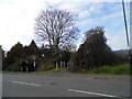 Trees and bus stop on Aldwick Road