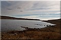 NR3867 : Loch Finlaggan, Islay by Becky Williamson