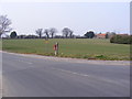 Norwich Road Postbox