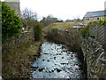 Trawden Brook