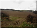 Arable land east of Fenton Hill