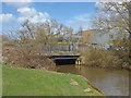 River Wey bridge