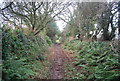 Muddy footpath