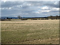 NZ0065 : Farmland east of Gallow Hill by Mike Quinn