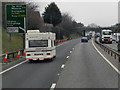 A31, Ringwood