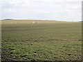 Farmland near Kelty