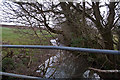 Looking down a stream near Hiscott which leads to Langham Lake