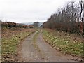 Hare Path, near Summerway Cross