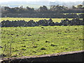 Field walls on the outskirts of Ballymartin