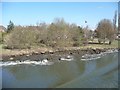 North bank, Manchester Ship Canal