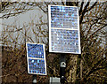 Solar panels, Dundonald (2)