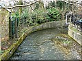 Upstream, River Gade, The Bury, Hemel Hempstead