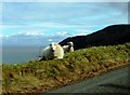 Sheep on Countisbury Hill