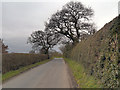 Cherry Tree Lane, near Cherrytree Farm