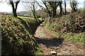 Track at Downstow Cross