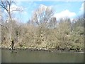 Stakes reinforcing the Manchester Ship Canal