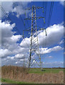 Pylons Across the Fields