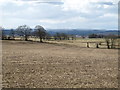 NZ0066 : Farmland between Aydon and Aydon Castle by Mike Quinn