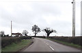 B3143 entering Pulham at Grange Farm entrance