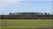 SJ5985 : A view across a field of the Acton Grange viaduct by Ian Greig
