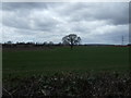 Farmland off Birmingham Road