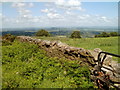 Dry stone wall on high ground NE of Pontypool