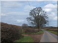 The road to Dymock