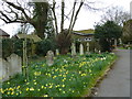 St Luke, Sway: churchyard (C)