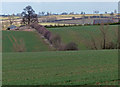 Farmland near Owston Grange