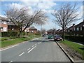 Highfield Road in April