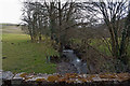 The view up a stream at Bucks Mill