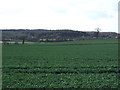 Crop field off Hednesford Road