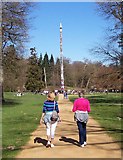 SU9869 : The Totem Pole, Virginia Water by Len Williams