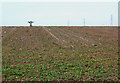 Scarecrow. Sefton Meadows