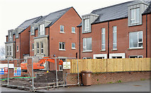 J3775 : New social housing, Sydenham, Belfast (3) by Albert Bridge