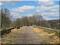 Trackbed of the (former) Haltwhistle to Alston branch line on Burnstones Viaduct  (2)